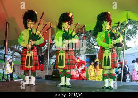 A group of men wearing kilts and busbies playing the bagpipes on stage Stock Photo