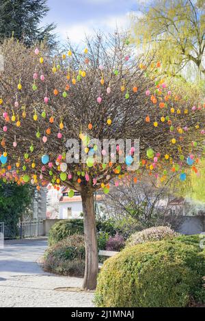 View of a tree with easter eggs on branches without leaves Stock Photo