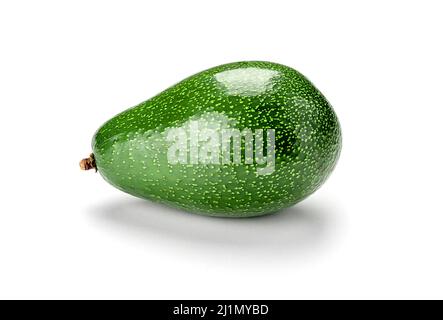 avocado isolated on white background with shadow. fresh ripe tropical avocado fruit. clean without dust Stock Photo