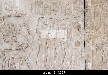 Cairo, Egyptian Museum, tomb of Harmin, a large relief : Second register, funeral procession, with female mourners and men bringing offerings. Stock Photo