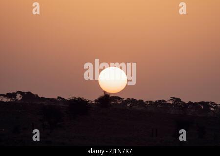 Sunset, Sam Desert, Thar Desert, Horizon, Desert National Park, Jaisalmer, Rajasthan, India Stock Photo