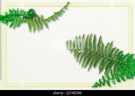 Creative tropical leaves fern on a paper beige background with shadows and frame. Stock Photo
