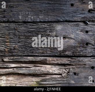 Old and weathered grey and brown reclaimed barn or beach wood planks with rusted nail heads. Copy space. Stock Photo