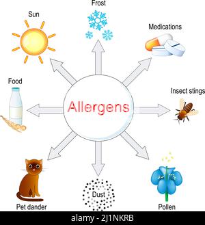 Types of allergens. Vector illustration Stock Vector