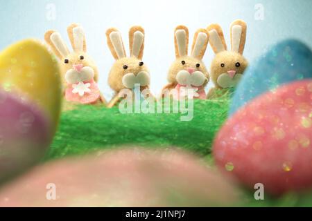 Four cute easter bunnies behind colorful easter eggs against a light blue background. Stock Photo