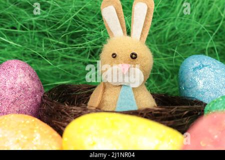 Single easter bunny sitting in a cute nest surrounded by colorful easter eggs Stock Photo