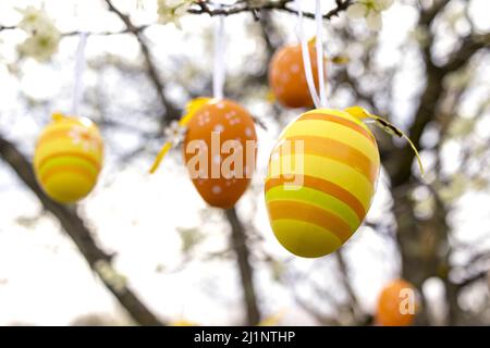Happy Easter! Easter decorated eggs. Garden tree set up with multicolored Easter eggs. Stock Photo