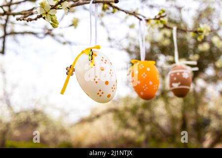 Happy Easter! Easter decorated eggs. Garden tree set up with multicolored Easter eggs. Stock Photo