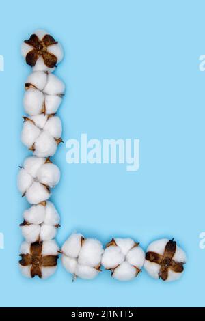Letter L made of cotton flowers and isolated on solid blue background. Floral alphabet concept. One letter of the set of cotton font easy to stacking. Stock Photo