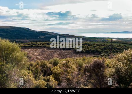Farmland on a sunny day under white clouds Stock Photo