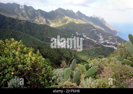 The Spanish village of Taganana nestled in the Anaga Mountains on the north coast of the island of Tenerife, Anaga Rural Park, Canary Islands, Spain. Stock Photo