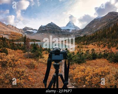 Mirrorless camera on tripod standing in autumn forest with mount Assiniboine in national park at BC, Canada Stock Photo