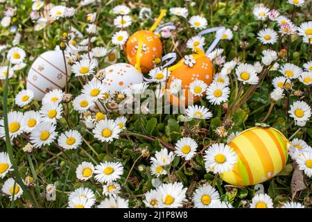 Happy Easter! Easter decorated eggs. Multicolored Easter eggs among daisies in the garden. Stock Photo