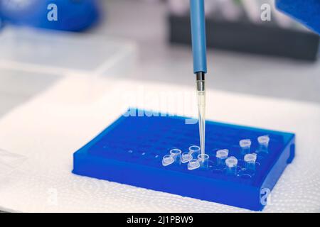 Hand in laboratory Air displacement micro pipettes filling a colorless reaction tube. Stock Photo