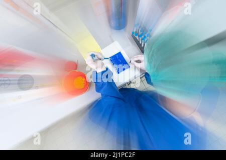 Medical lab scientists in laboratory using Air displacement micro pipettes filling a colorless reaction tube. Stock Photo