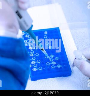 Hand in laboratory Air displacement micro pipettes filling a colorless reaction tube. Stock Photo
