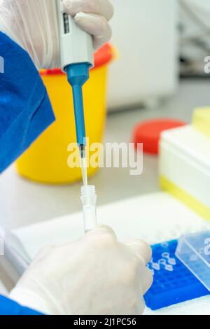 Hand in laboratory Air displacement micro pipettes filling a colorless reaction tube. Stock Photo