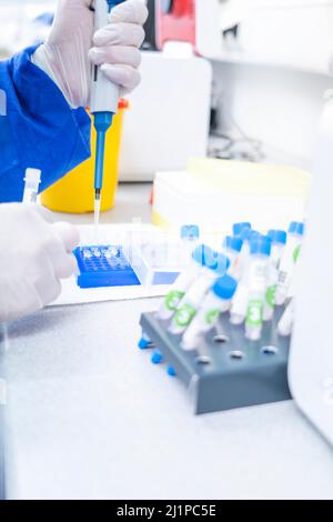 Hand in laboratory Air displacement micro pipettes filling a colorless reaction tube. Stock Photo