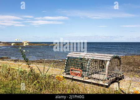 Lobster trap on the edge of St-Lawrence river, Quebec, Canada Stock Photo