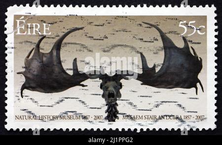 IRELAND - CIRCA 2007: a stamp printed in the Ireland shows Horns, 150th Anniversary of Natural History Museum, Dublin, circa 2007 Stock Photo