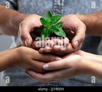 Were all a work in progress. Cropped shot of a group of people holding a plant growing out of soil. Stock Photo