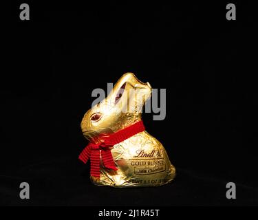A milk chocolate Lindt Easter bunny wrapped in gold foil with a red ribbon necklace isolated on black Stock Photo