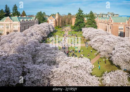 University of Washington - Abound: Finish College