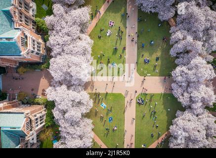 The University of Washington (commonly referred to as Washington or UDub) is a public research university in Seattle, Washington, United States. Found Stock Photo