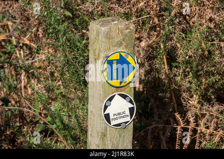 One public footpath sign white on black and one bridleway blue on yellow, both discs on a timber post with dried bracken in background Stock Photo