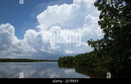 Florida Clouds Stock Photo