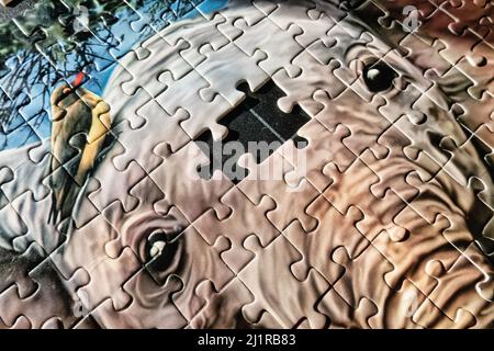 Concept of endangered wildlife, an elephant with missing jigsaw puzzle pieces, USA  2022 Stock Photo