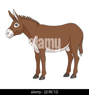 Color illustration with brown donkey, mule. Isolated vector object on white background. Stock Vector