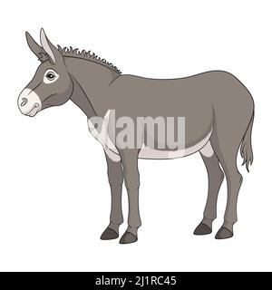 Color illustration with gray donkey, mule. Isolated vector object on white background. Stock Vector