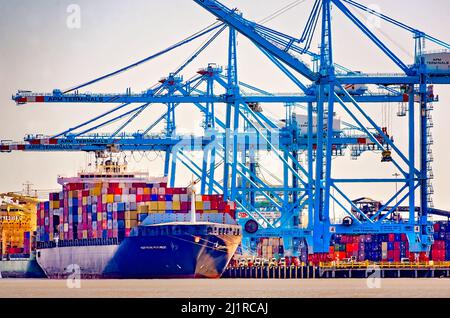 Northern Monument, a Portugese container ship, is docked at APM Terminals, March 25, 2022, in Mobile, Alabama. Northern Monument was built in 2004. Stock Photo