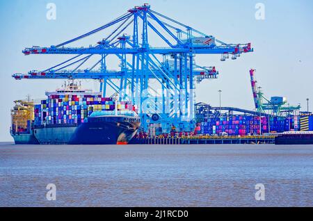 Northern Monument, a Portugese container ship, is docked at APM Terminals, March 25, 2022, in Mobile, Alabama. Northern Monument was built in 2004. Stock Photo