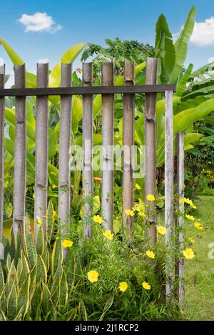 Bamboo fence with wild flowers and blue sky with clouds in background Stock Photo