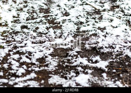Freshly fallen snow on muddy trampled earth - covring the ground Stock Photo