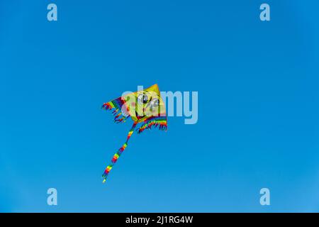 Kite, Kite flying in the clear sky. Freedom and happiness concept idea background. Copy space for text Stock Photo