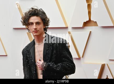 Timothee Chalamet At The 94th Annual Academy Awards Held At The Dolby ...