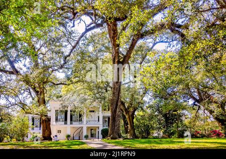 Historic Oakleigh Mansion is pictured, March 26, 2022, in Mobile, Alabama. Oakleigh Mansion was built in 1833. Stock Photo
