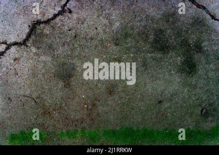Stunning cement texture of gray and green colors. Stock Photo