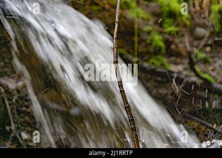 Waterfall exploding in background while focus remains on a single stick. Stock Photo