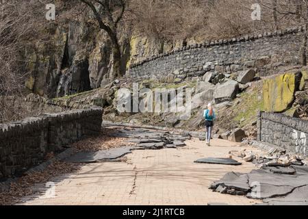 Young asian female, wearing colorful sports outfit, running / exercising along the storm related damaged road in the Palisades, New Jersey Stock Photo