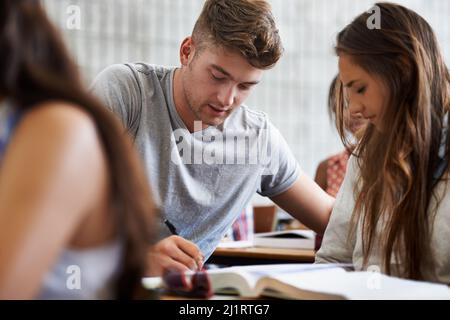 Working towards their future. students in a university classroom. Stock Photo