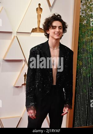 LOS ANGELES - MAR 27: Timothee Chalamet at the 94th Academy Awards at Dolby  Theater on March 27, 2022 in Los Angeles, CA Stock Photo - Alamy