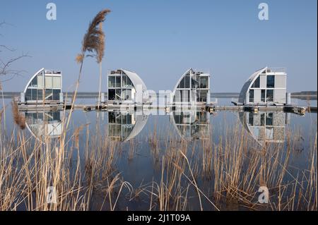 Elsterheide, Germany. 25th Mar, 2022. Reeds grow on the shore in front of floating vacation homes on Lake Geierswalde. On April 2, 2022, the Lusatian Lakeland Tourism Association celebrates its 10th anniversary. Credit: Sebastian Kahnert/dpa-Zentralbild/dpa/Alamy Live News Stock Photo