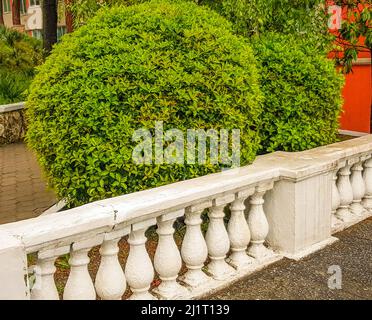 A stone staircase with a railing with balustrades descends into the ...