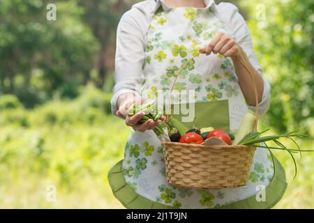 A woman with green peas in her hands and a basket of vegetables, on a farm, or a vegetable garden. The concept of harvesting, or selling vegetables. W Stock Photo