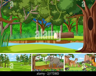 Different forest scenes with wild animals illustration Stock Vector ...