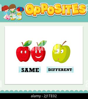 Opposite words for same and different illustration Stock Vector Image ...